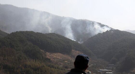 산불 걱정