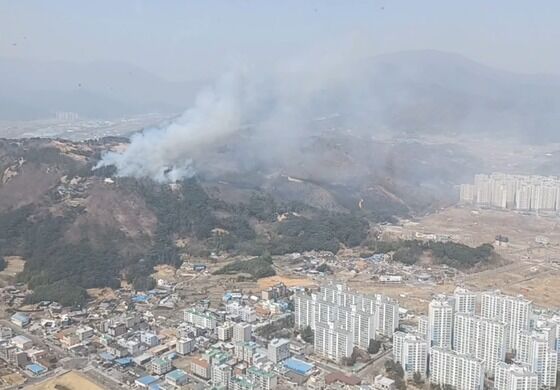 건조한 날씨에 '초속 25m' 강풍 다시 분다…동해안·산간 산불 위험↑