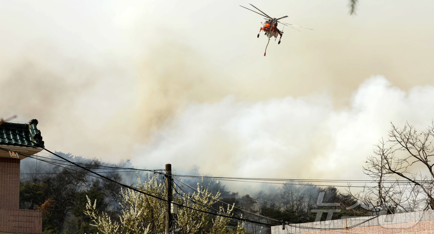 (울산=뉴스1) 김지혜 기자 = 25일 오전 11시 54분께 울산시 울주군 언양읍 송대리 화장산에서 불이 났다. 소방당국은 대응1단계를 발령하고 인근 주민에게 대피령을 내렸다.20 …