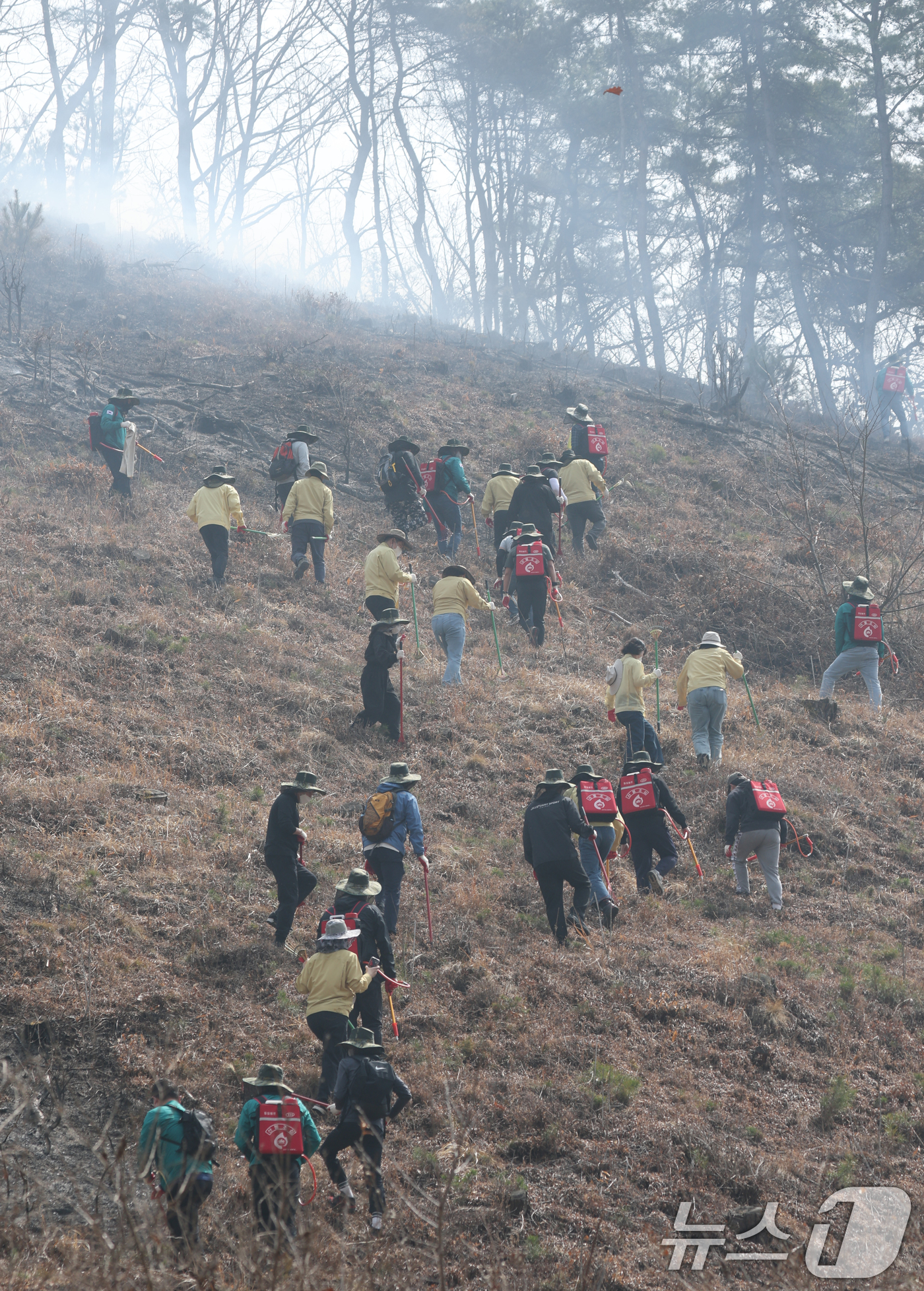 (의성=뉴스1) 김영운 기자 = 경북 의성 산불이 나흘째 이어지고 있는 25일 오후 경북 의성군 점곡면 구암리 일대 야산에서 경상북도교육청 직원들이 잔불 정리를 하고 있다. 202 …