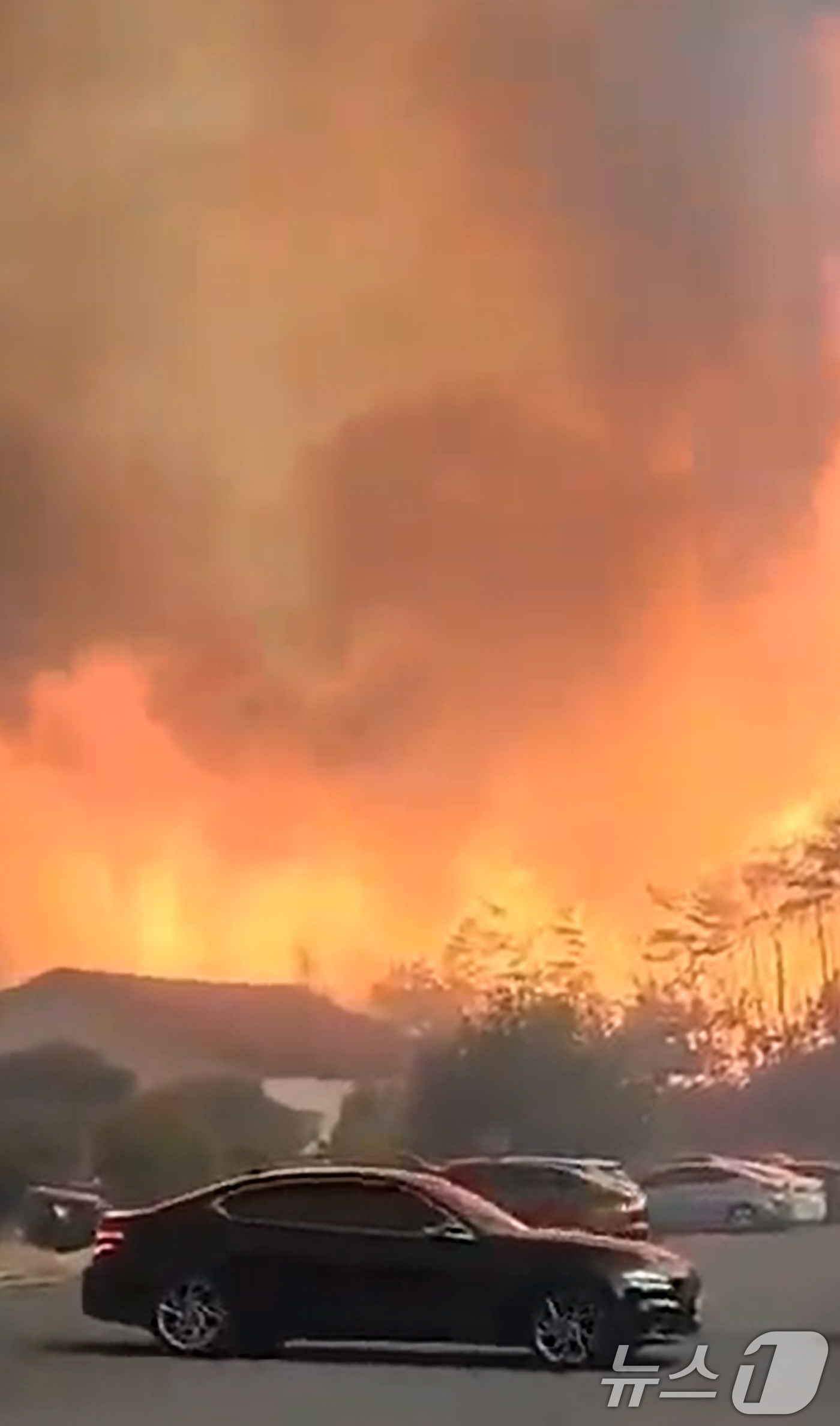 (안동=뉴스1) 최창호 기자 = 25일 경북 의성에서 발생한 산불이 강풍을 타고 안동시 길안면에 이어 풍산면 쪽으로 급속히 확산되고 있다.사진은 동안동IC에 주차돼 있던 차량들이 …
