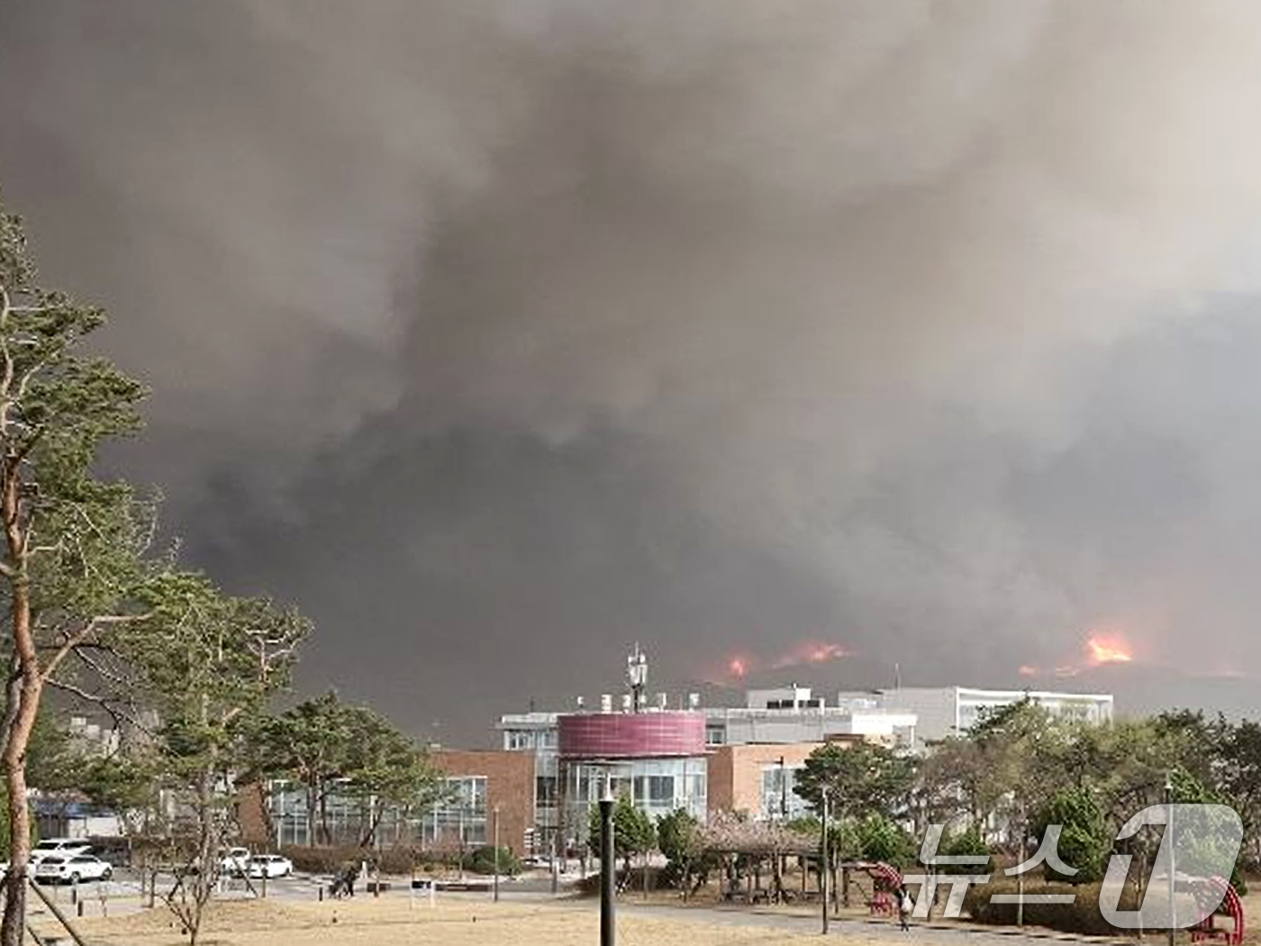 (안동=뉴스1) 최창호 기자 = 25일 오후 경북 의성에서 발생한 산불이 강풍을 타고 확산되면서 안동시 옥동 안동대학교 뒷편에서도 불길이 치솟아 오르고 있다. (독자제공, 재판매 …