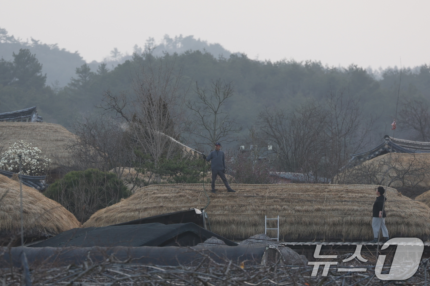 (안동=뉴스1) 김영운 기자 = 경북 의성군 산불이 나흘째 이어지고 있는 25일 오후 경북 안동시 하회마을에서 관계자들이 화재에 대비해 초가지붕에 물을 뿌리고 있다. 2025.3. …