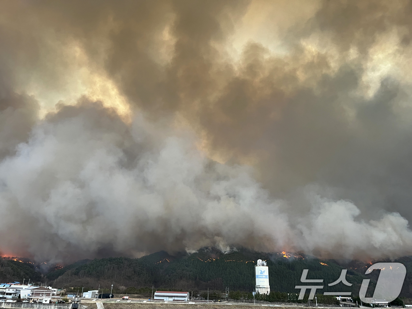 (안동=뉴스1) 최창호 기자 = 경북 의성군에서 발생한 산불이 25일 오후 강풍을 타고 경북 안동시내 쪽으로 확산되고 있다.  2025.3.25/뉴스1