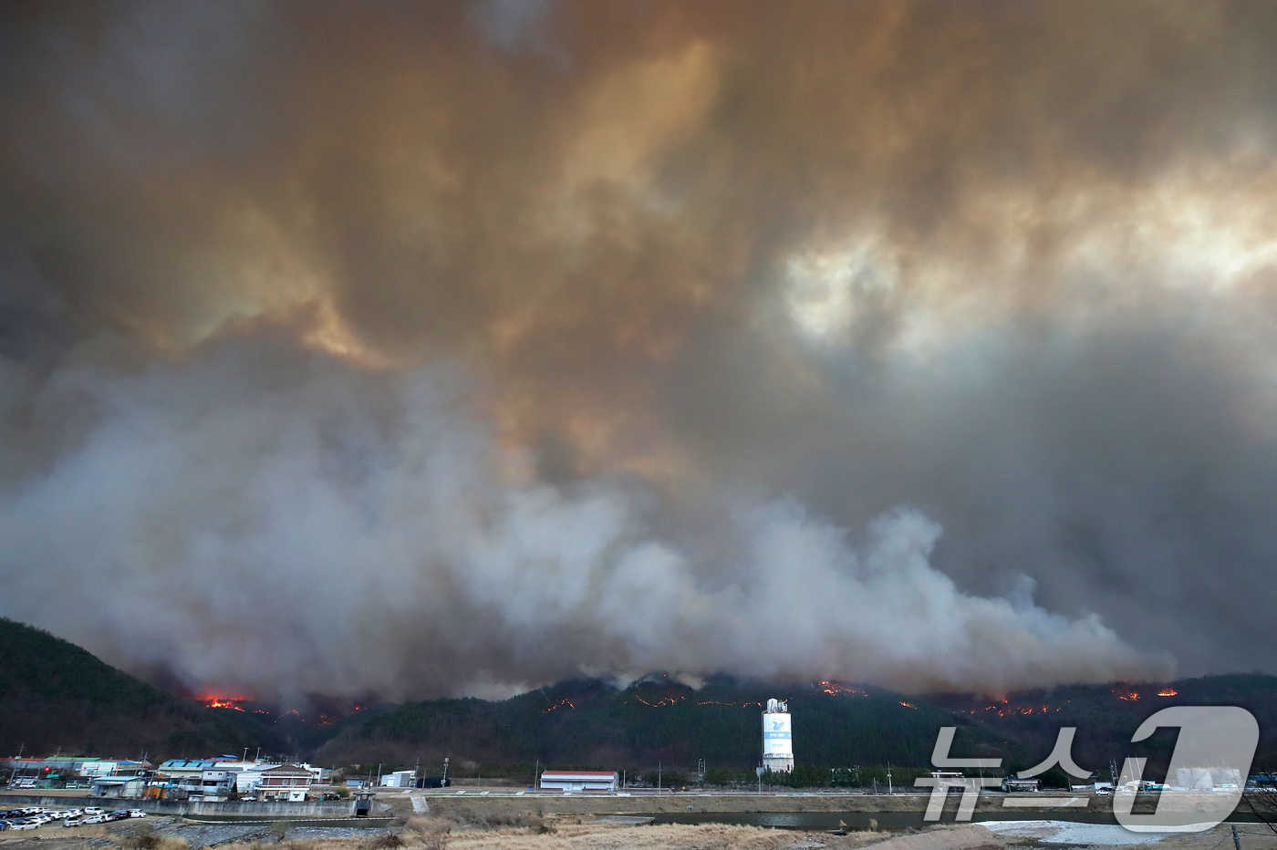 (안동=뉴스1) 공정식 기자 = 25일 오후 경북 안동 전역에 강풍이 불어 산불이 급속도로 확산하고 있다. 2025.3.25/뉴스1