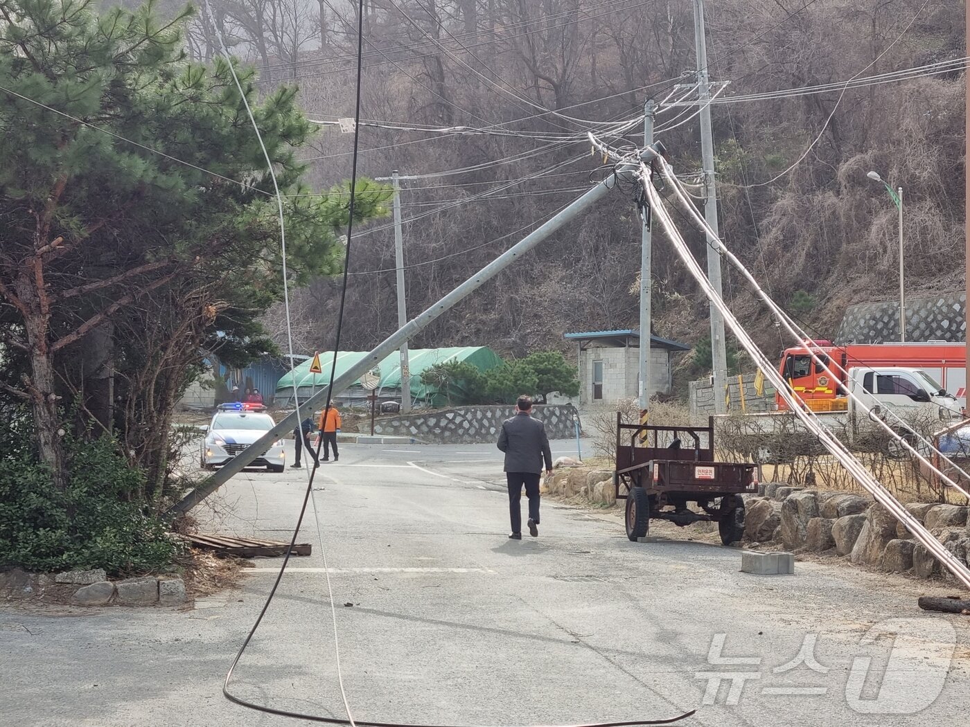 본문 이미지 - 제천시 수산면의 한 주택 지붕 패널 전체가 강풍에 떨어지면서 전선을 건드렸다.(제천소방 제공. 재판매 및 DB금지) /뉴스1  