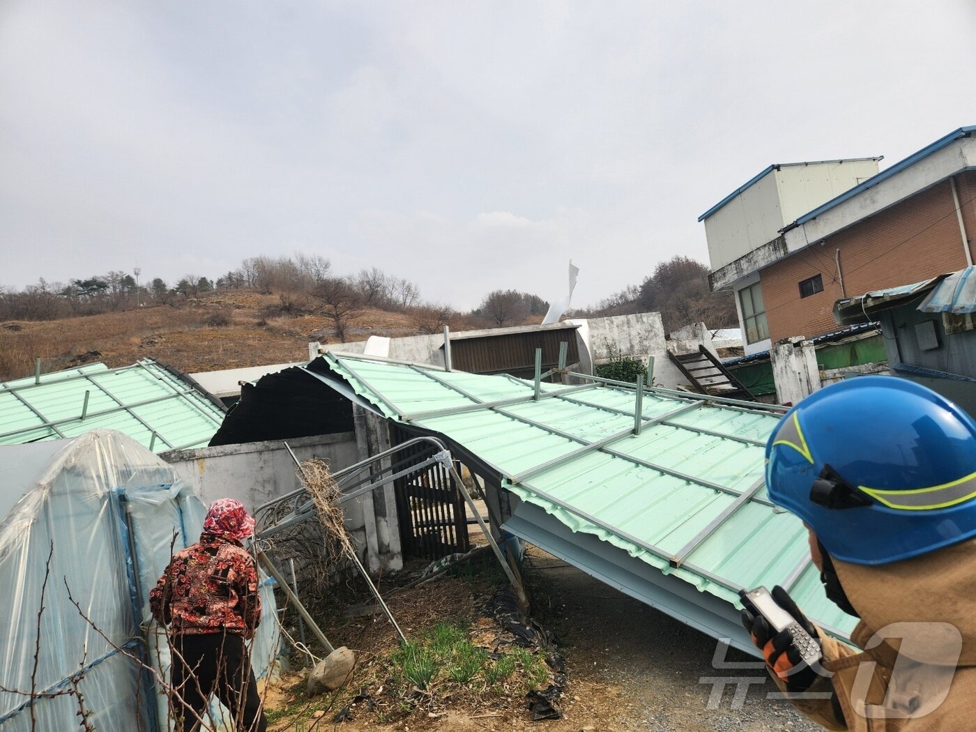 본문 이미지 - 제천시 수산면의 한 주택 지붕 패널 전체가 강풍에 떨어졌다.(제천소방 제공. 재판매 및 DB금지) /뉴스1   