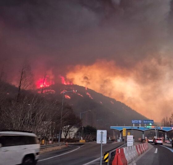 청송서 60대 여성 소사 상태로 발견…"산불 사망 추정" (종합)