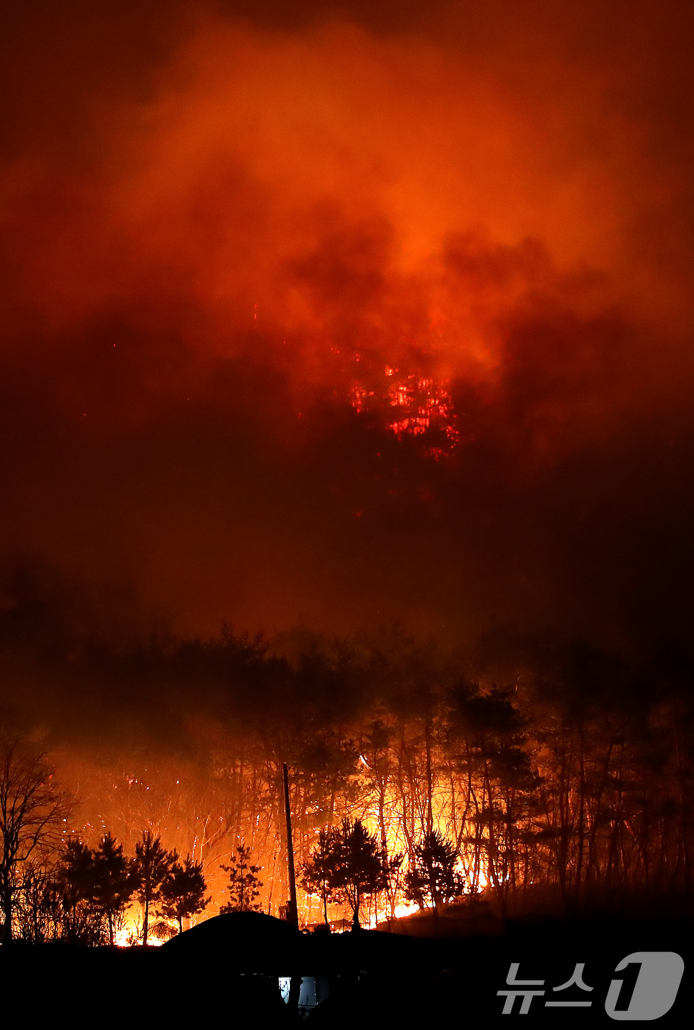 (안동=뉴스1) 공정식 기자 = 25일 오후 어둠이 내린 경북 안동시 남후면 광음리 뒷산에 민가를 삼키려는 화마처럼 산불이 확산하고 있다. 2025.3.25/뉴스1