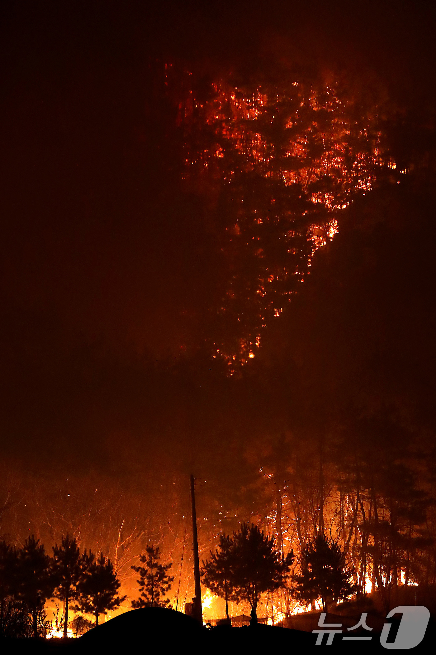 (안동=뉴스1) 공정식 기자 = 25일 오후 어둠이 내린 경북 안동시 남후면 광음리 뒷산에 민가를 삼키려는 화마처럼 산불이 확산하고 있다. 2025.3.25/뉴스1