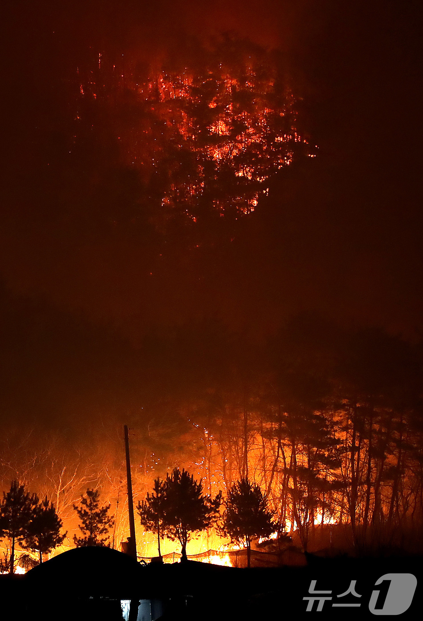 (안동=뉴스1) 공정식 기자 = 25일 오후 어둠이 내린 경북 안동시 남후면 광음리 뒷산에 민가를 삼키려는 화마처럼 산불이 확산하고 있다. 2025.3.25/뉴스1