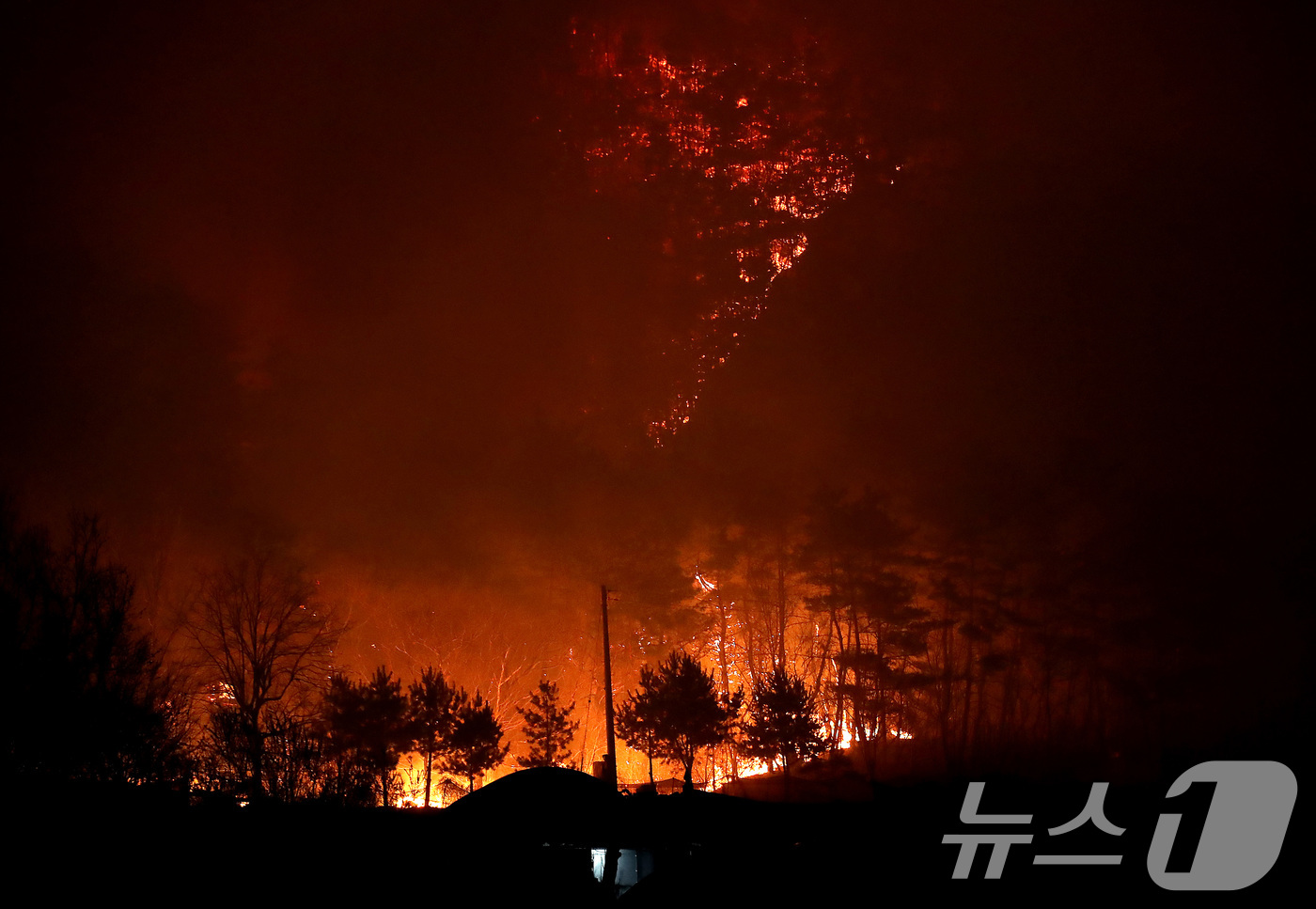 (안동=뉴스1) 공정식 기자 = 25일 오후 어둠이 내린 경북 안동시 남후면 광음리 뒷산에 민가를 삼키려는 화마처럼 산불이 확산하고 있다. 2025.3.25/뉴스1