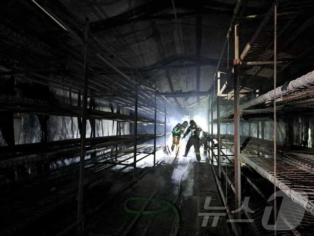 본문 이미지 - 26일 새벽 철원 서면 화수리 버섯재배시설 화재 현장.(강원도소방본부 제공, 재판매 및 DB 금지) 2025.3.26/뉴스1