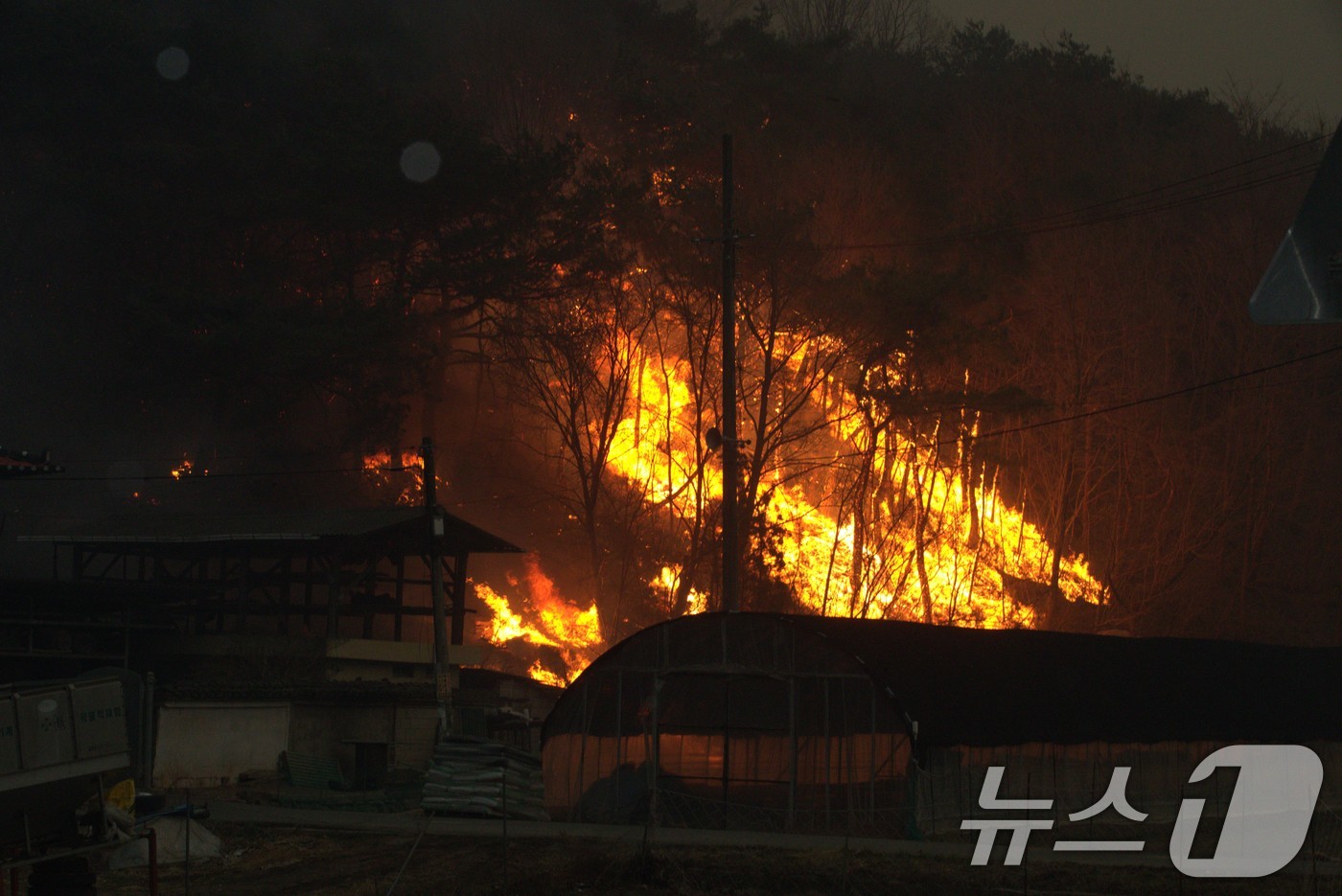 (안동=뉴스1) 신성훈 기자 = 26일 오전 경북 안동시 남선면에 의성발 산불이 확산하고 있다.2025.3.26/뉴스1