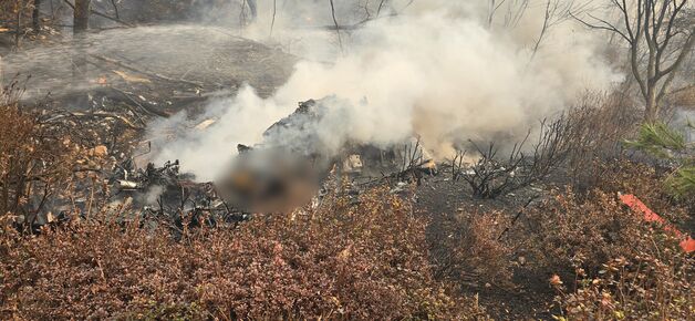 [속보]의성서 산불 진화헬기 추락…조종사 사망