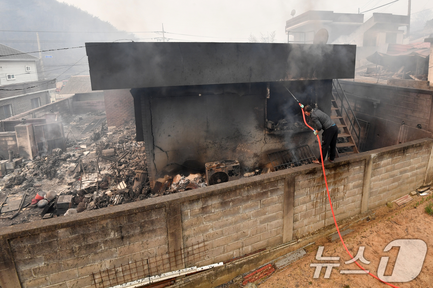 (영덕=뉴스1) 최창호 기자 = 경북 의성 산불이 강풍을 타고 영덕으로 확산된 26일 오전 영덕읍 매정 1리 마을에서 주민이 주택에 님아 있는 불을 끄고 있다. 2025.3.26/ …