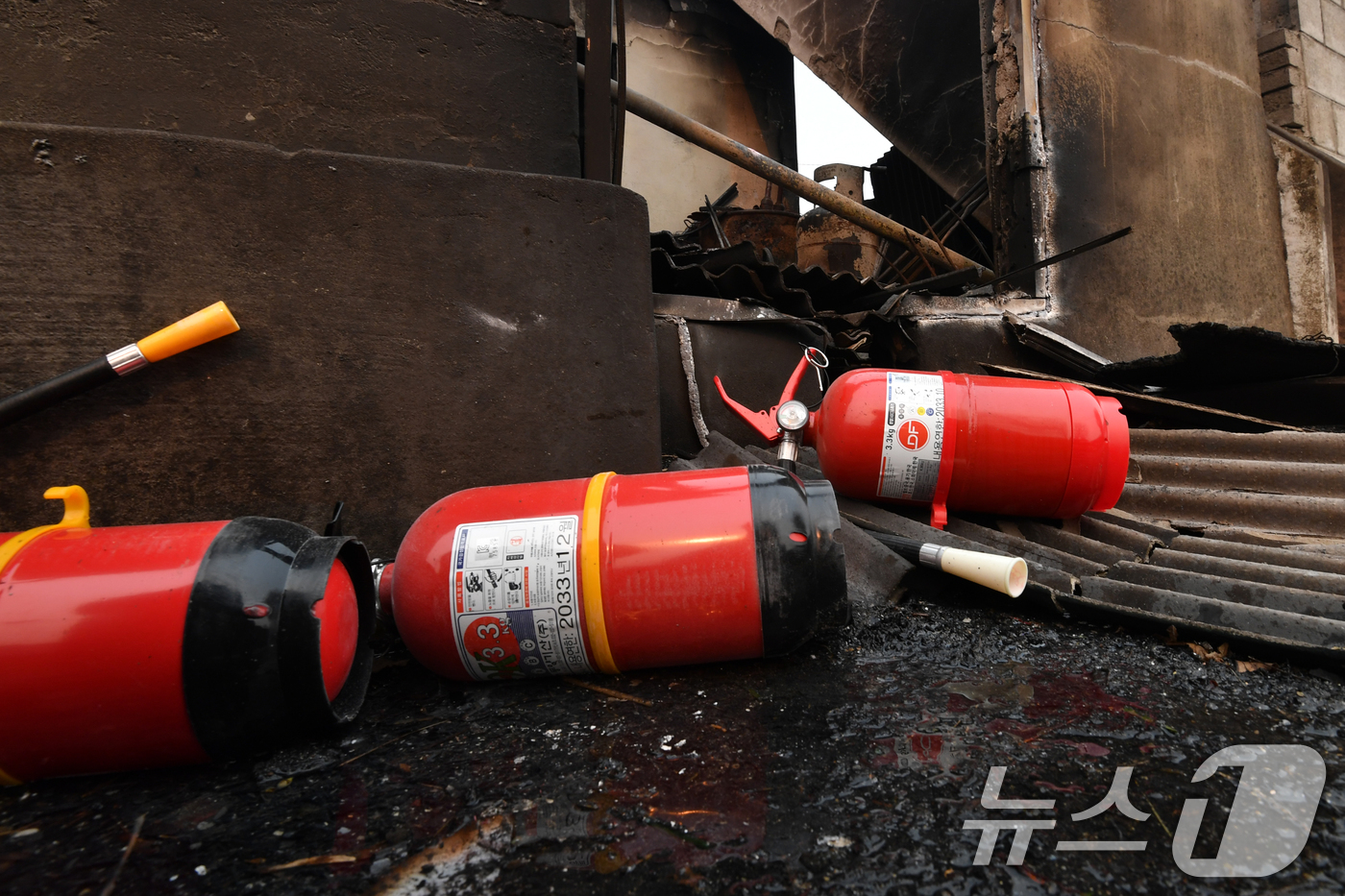 (영덕=뉴스1) 최창호 기자 = 경북 의성 산불이 강풍을 타고 영덕으로 확산된 26일 오전 영덕읍 매정 1리 마을 주택 앞에 불을 끄기 위해 사용했던 소화기가 나뒹굴고 있다. 20 …