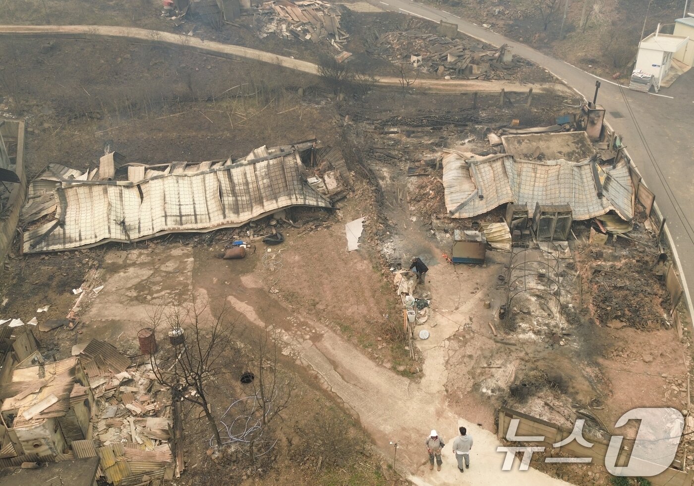 본문 이미지 - 26일 오후 경북 영양군 석보면 답곡리 일대 민가들이 산불로 인해 불에 타있다. 2025.3.26/뉴스1 ⓒ News1 김영운 기자