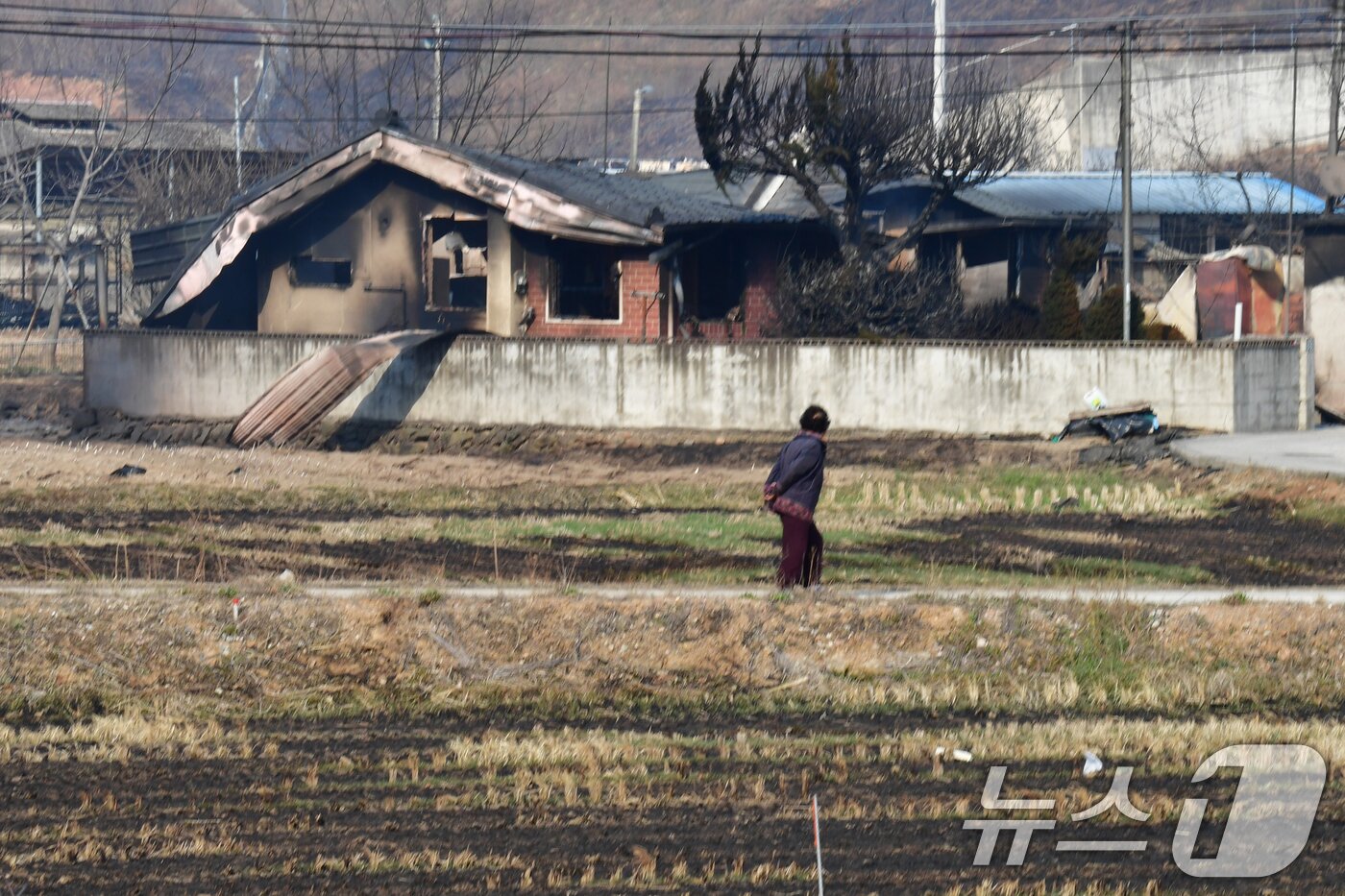 본문 이미지 - 지난 22일 경북 의성군에서 시작된 산불이 강풍을 타고 영덕군까지 확산된 26일 오후 한 주민이 불에 탄 집을 쳐다보고 있다. 2025.3.26/뉴스1 ⓒ News1 최창호 기자