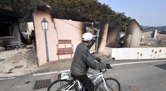 삶의 터전 앗아간 산불