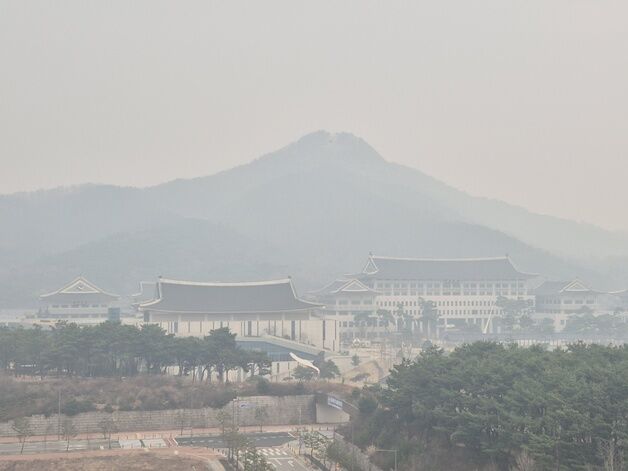 꺼지지 않은 산불, 잿빛으로 변한 안동·예천…거리엔 검은재만