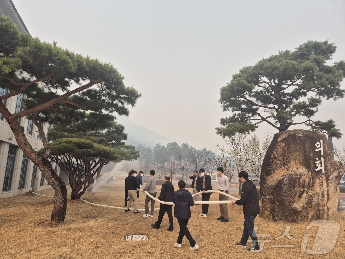 본문 이미지 - 의성 산불이 확산하자 경북도의회 직원들이 건물 주변에 물을 뿌리고 있다. 2025.3.27/뉴스1 ⓒ News1 김대벽기자
