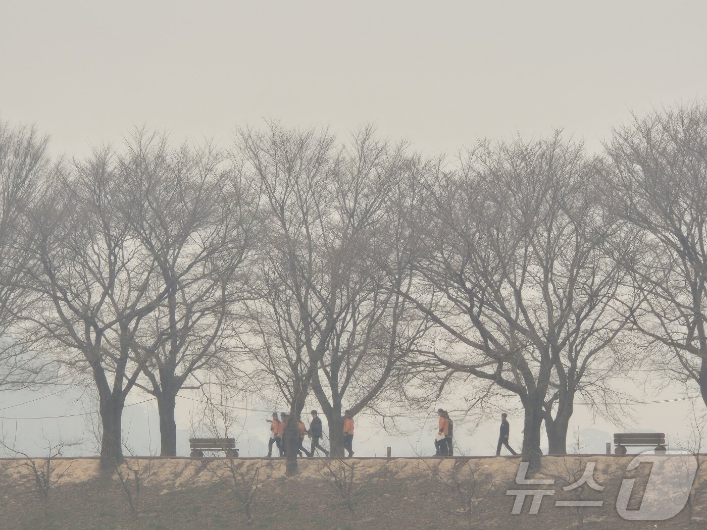 본문 이미지 - 의성 산불이 번지자 세계문화유산인 안동 하회마을을 사수하기 위해 소방대원들이 방어막을 치고 있다. 2025.3.27/뉴스1 ⓒ News1 김대벽기자