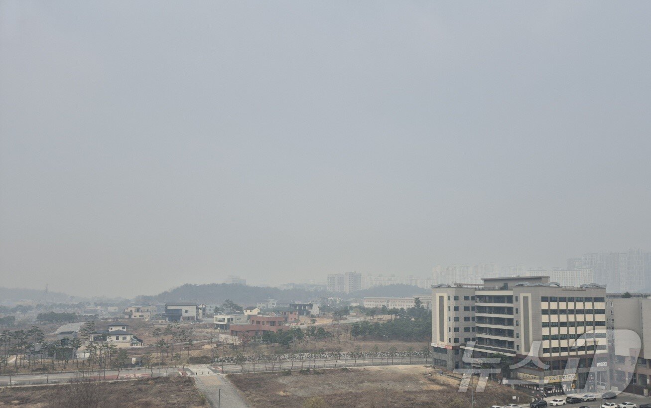 본문 이미지 - 의성 산불이 번지면서 경북도청 신도시의 하늘이 마치 화산이 터진 도시처럼 잿빛으로 변했다. 2025.3.27/뉴스1 ⓒ News1 김대벽기자