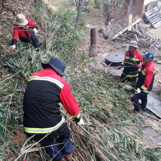 '영남권 화마'에 트라우마 떠오른 양양…"산불 예방 총력전"
