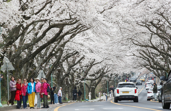 [오늘의 날씨]제주(27일, 금)…구름 많고 낮 17~20도