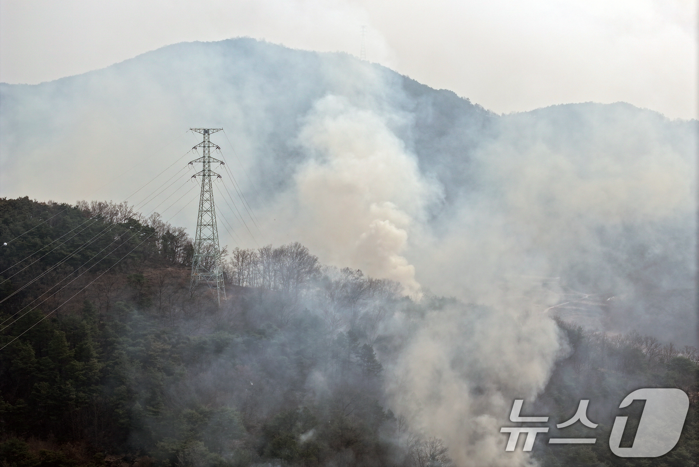(서울=뉴스1) 이승배 기자 = 27일 경북 의성군 비안면 일대 야산에서 산불로 연기가 나고 있다. 2025.3.27/뉴스1