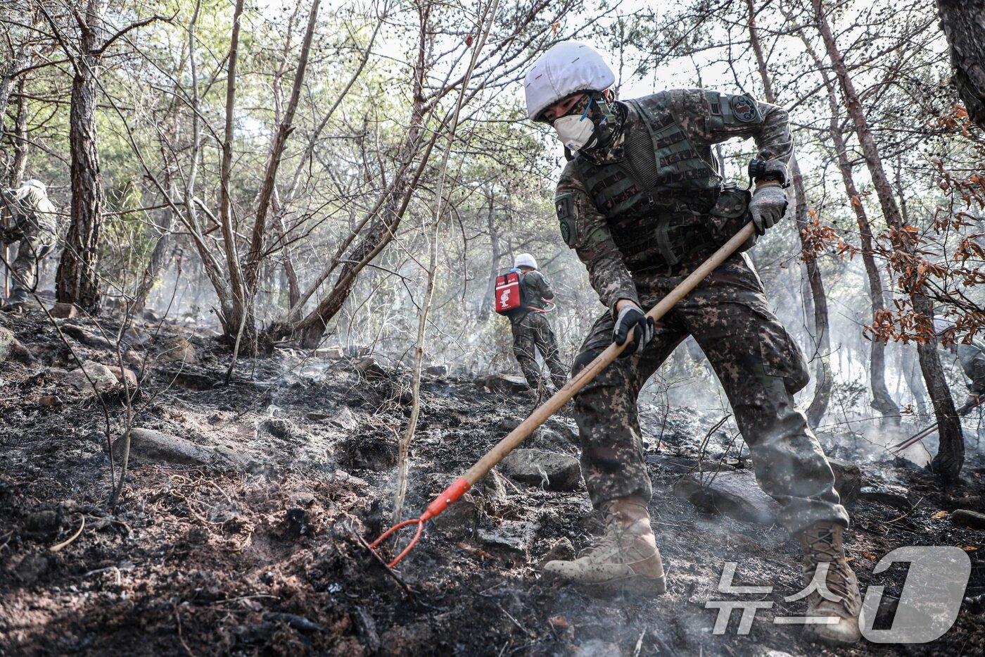 본문 이미지 - 지난 26일 육군 제50보병사단 장병들이 경북 의성군 소재 야산에서 잔불 제거 작업을 하고 있다. &#40;육군 제공. 재판매 및 DB 금지&#41; 2025.3.27/뉴스1