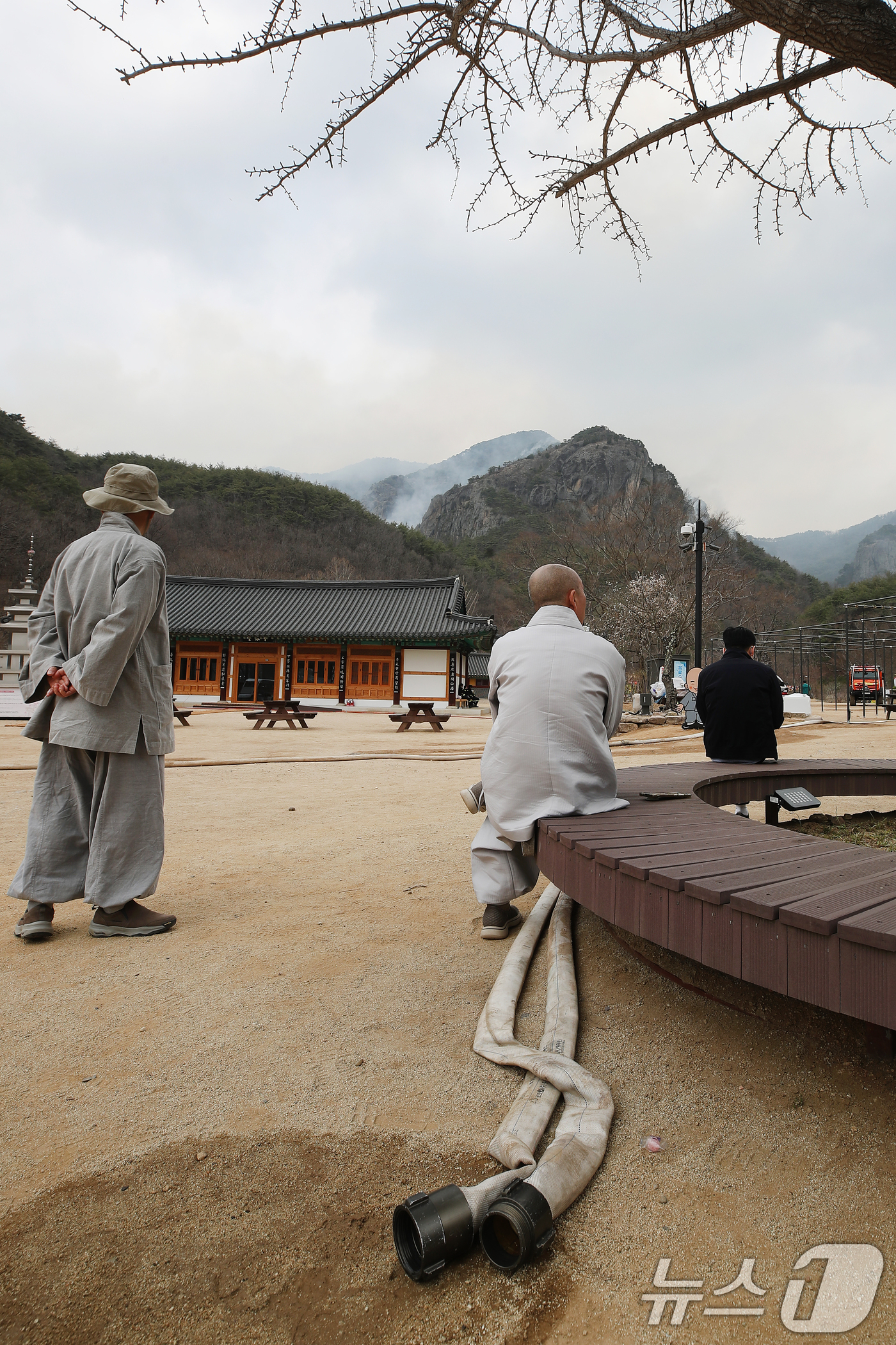 (청송=뉴스1) 공정식 기자 = 27일 오전 경북 청송군 주왕산면 상의리 조계종 천년고찰 대전사에서 스님이 연기가 피어오르는 주왕산을 바라보고 있다.밤사이 산불이 대전사 인근까지 …