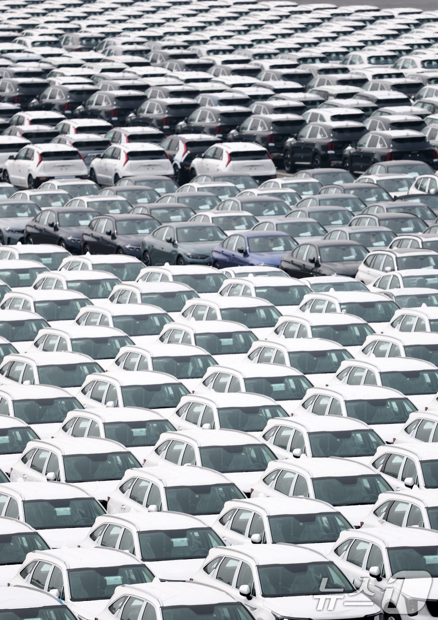 (평택=뉴스1) 오대일 기자 = 27일 경기도 평택시 포승읍 평택항 자동차전용부두에 수출용 차량들이 세워져 있다. 도널드 트럼프 미국 대통령은 26일(현지시간) 철강·알루미늄에 이 …