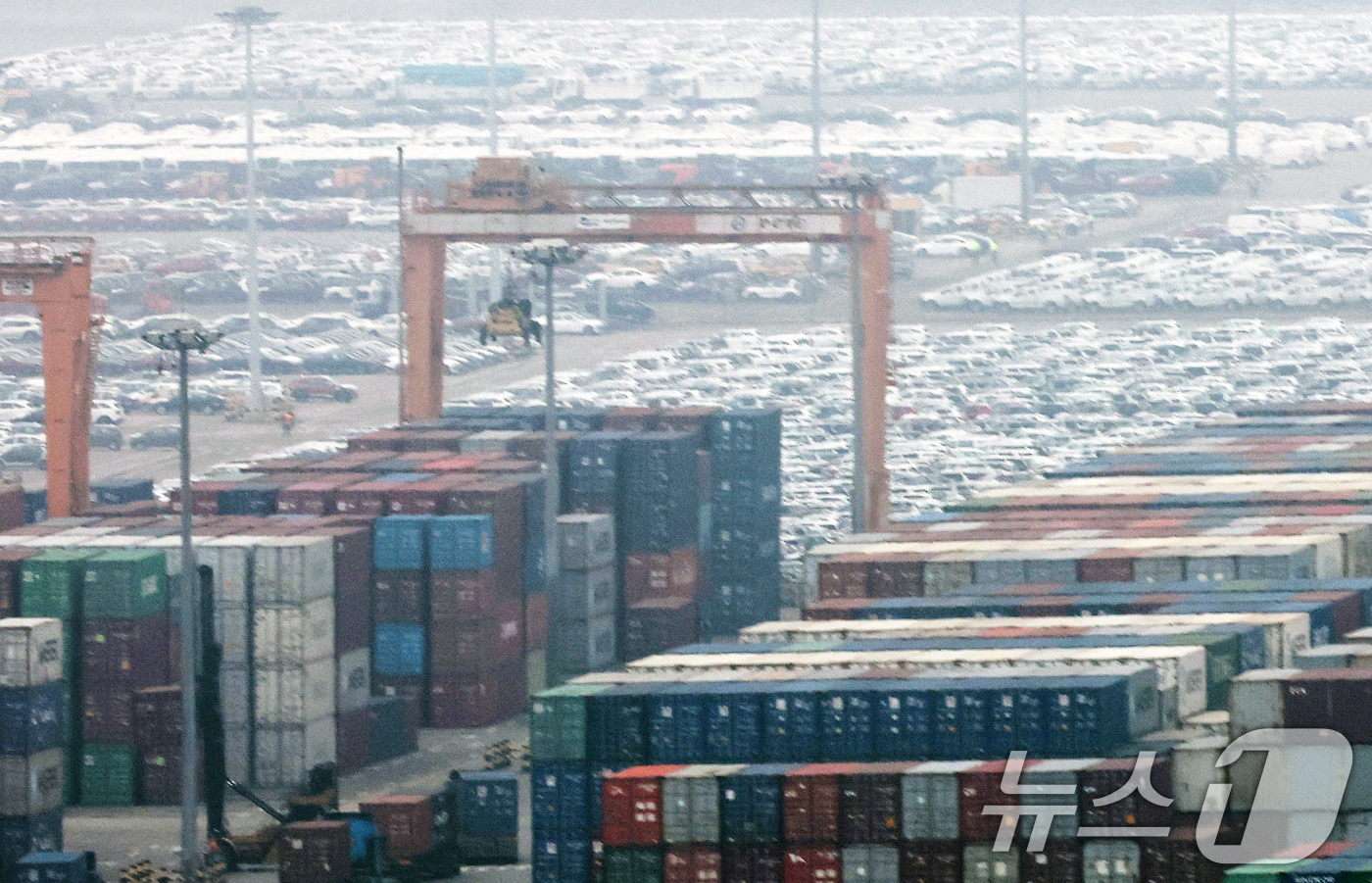 (평택=뉴스1) 오대일 기자 = 27일 오후 경기 평택시 포승읍 평택항 수출 야적장 컨테이너 뒤로 수출용 자동차들이 세워져 있다. 도널드 트럼프 미국 대통령은 26일(현지시간) 철 …