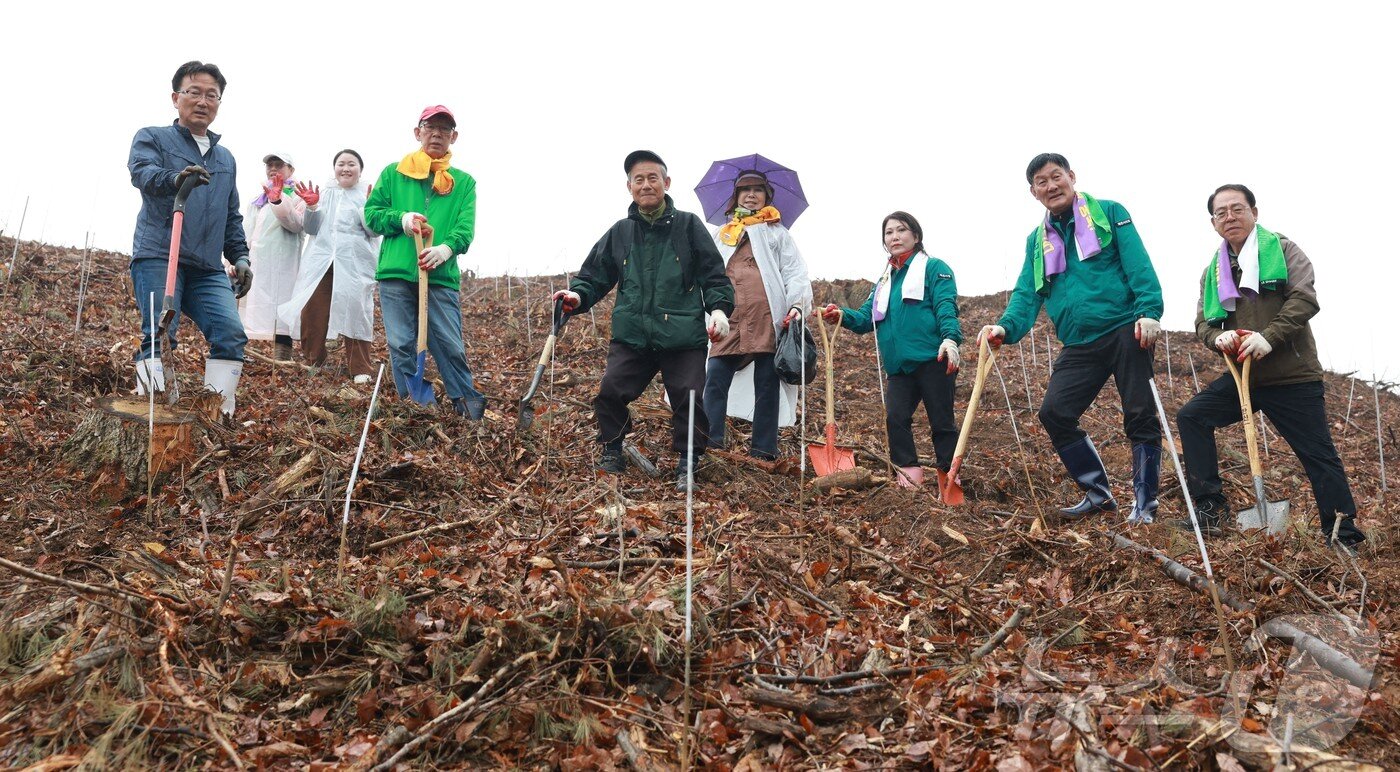 본문 이미지 - 제천시의회 의원들이 봉양읍 구곡리 산에서 나무심기 행사에 동참했다.(제천시의회 제공, 재판매 및 DB금지)/뉴스1   
