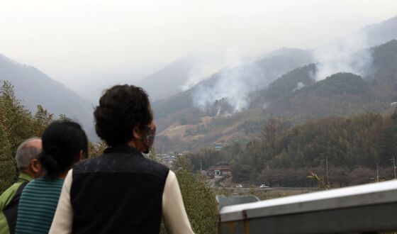 '반달곰들 사는데' 지리산 산불 확산 저지 총력전… 진화율 80%