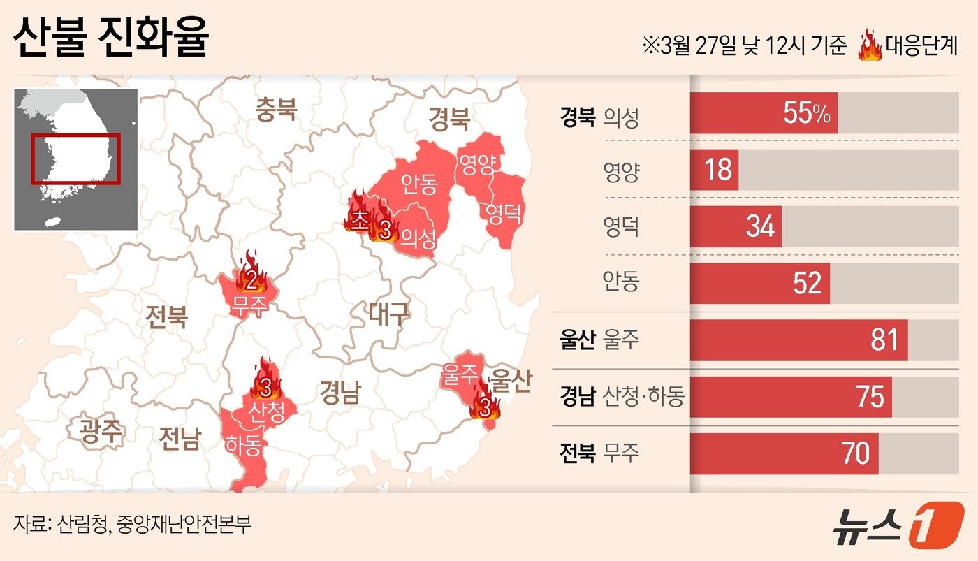 본문 이미지 - ⓒ News1 양혜림 디자이너