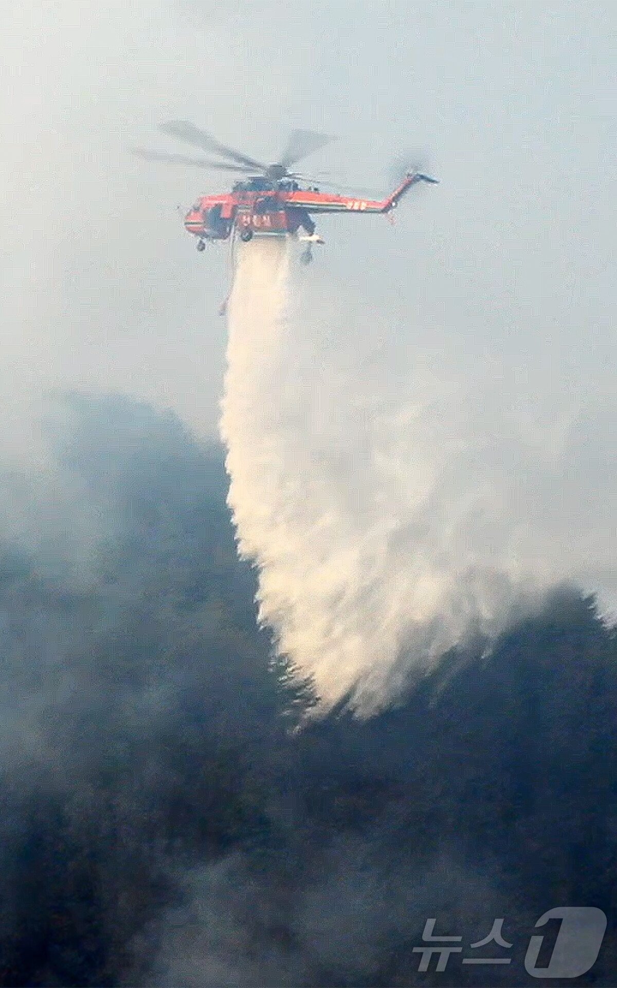 본문 이미지 - 산림청 소속  S-64 초대형산불진화헬기가 경북 의성군 산불 진화에 나서고 있다.  