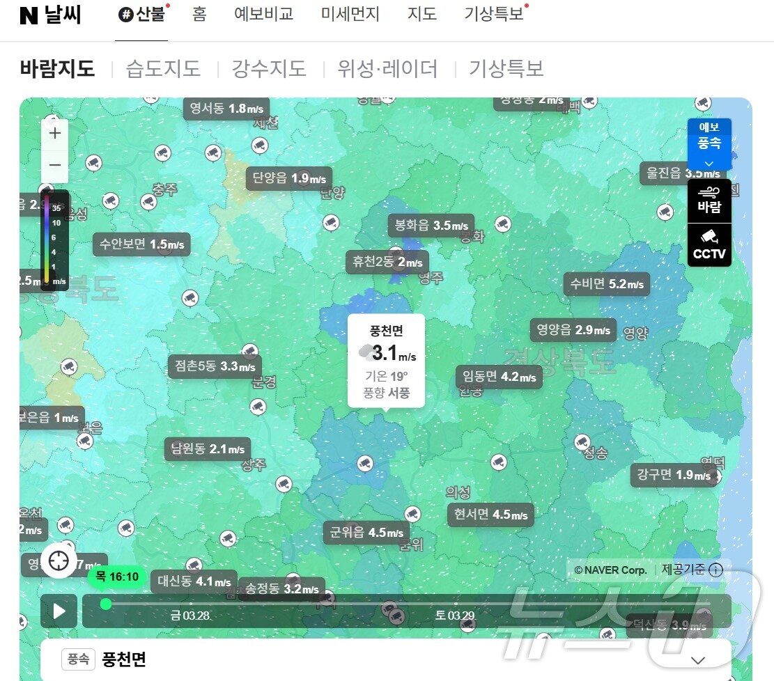 본문 이미지 - 네이버 산불 특별 페이지