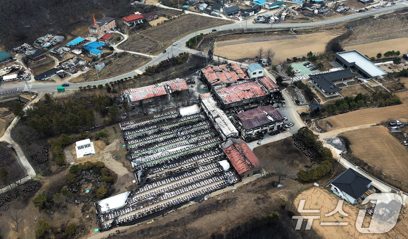 (청송=뉴스1) 공정식 기자 = 27일 오후 경북 청송군 파천면에서 전통 방식으로 장류를 생산하는 업체가 불에 타 폐허로 변해 있다.청송군에 따르면 연간 320톤의 장류를 생산하는 …