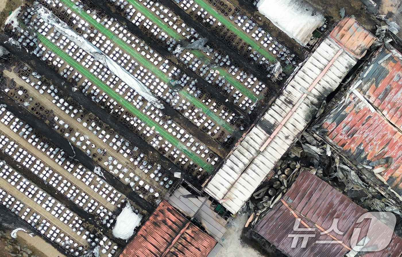 (청송=뉴스1) 공정식 기자 = 27일 오후 경북 청송군 파천면에서 전통 방식으로 장류를 생산하는 업체가 불에 타 폐허로 변해 있다.청송군에 따르면 연간 320톤의 장류를 생산하는 …