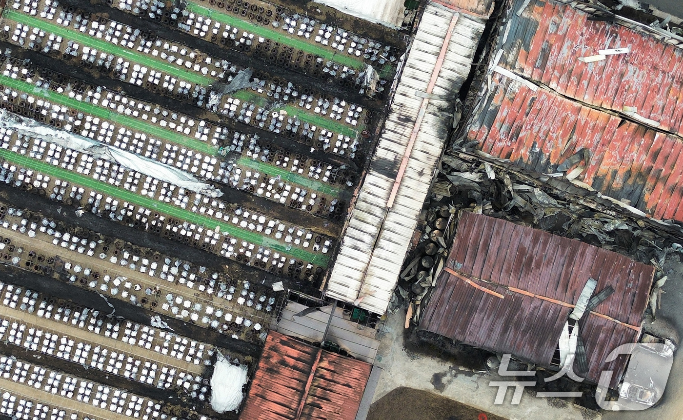 (청송=뉴스1) 공정식 기자 = 27일 오후 경북 청송군 파천면에서 전통 방식으로 장류를 생산하는 업체가 불에 타 폐허로 변해 있다.청송군에 따르면 연간 320톤의 장류를 생산하는 …