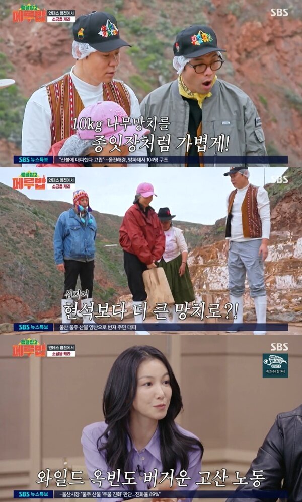 본문 이미지 - SBS '정글밥2-페루밥'