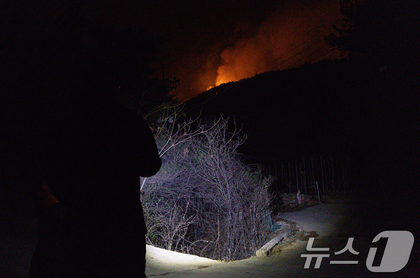 (안동=뉴스1) 이재명 기자 = 전국 곳곳에 산불이 발생하고 있는 27일 오후 경북 안동시 송사리에서 한 주민이 산불 현장을 살펴보고 있다. 2025.3.27/뉴스1