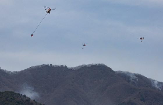 산청군, 봄철 산불 예방 행정력 총동원