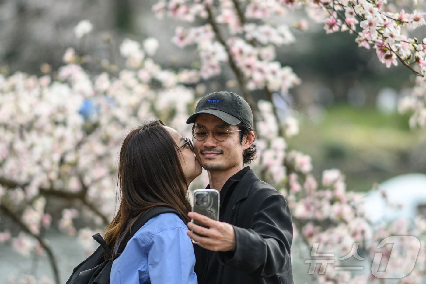 본문 이미지 - 27일&#40;현지시간&#41; 일본 도쿄 이노카시라 공원에서 시민들이 만개한 벚꽃과 함께 사진을 찍고 있다.  ⓒ AFP=뉴스1
