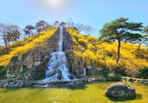 노랗게 물든 화순 개미산전망대