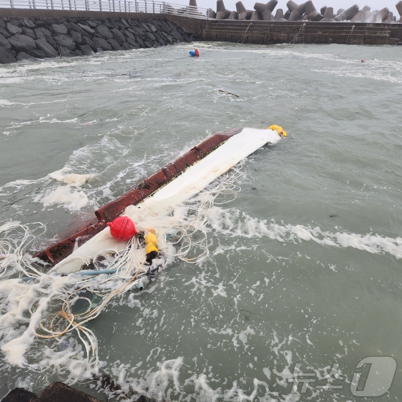(제주=뉴스1) 홍수영 기자 = 강풍특보가 발효 중인 3일 제주도 제주시 구좌읍에서 선박이 전복돼 소방당국이 안전조치를 하고 있다.(제주도소방안전본부 제공. 재판매 및 DB 금지) …