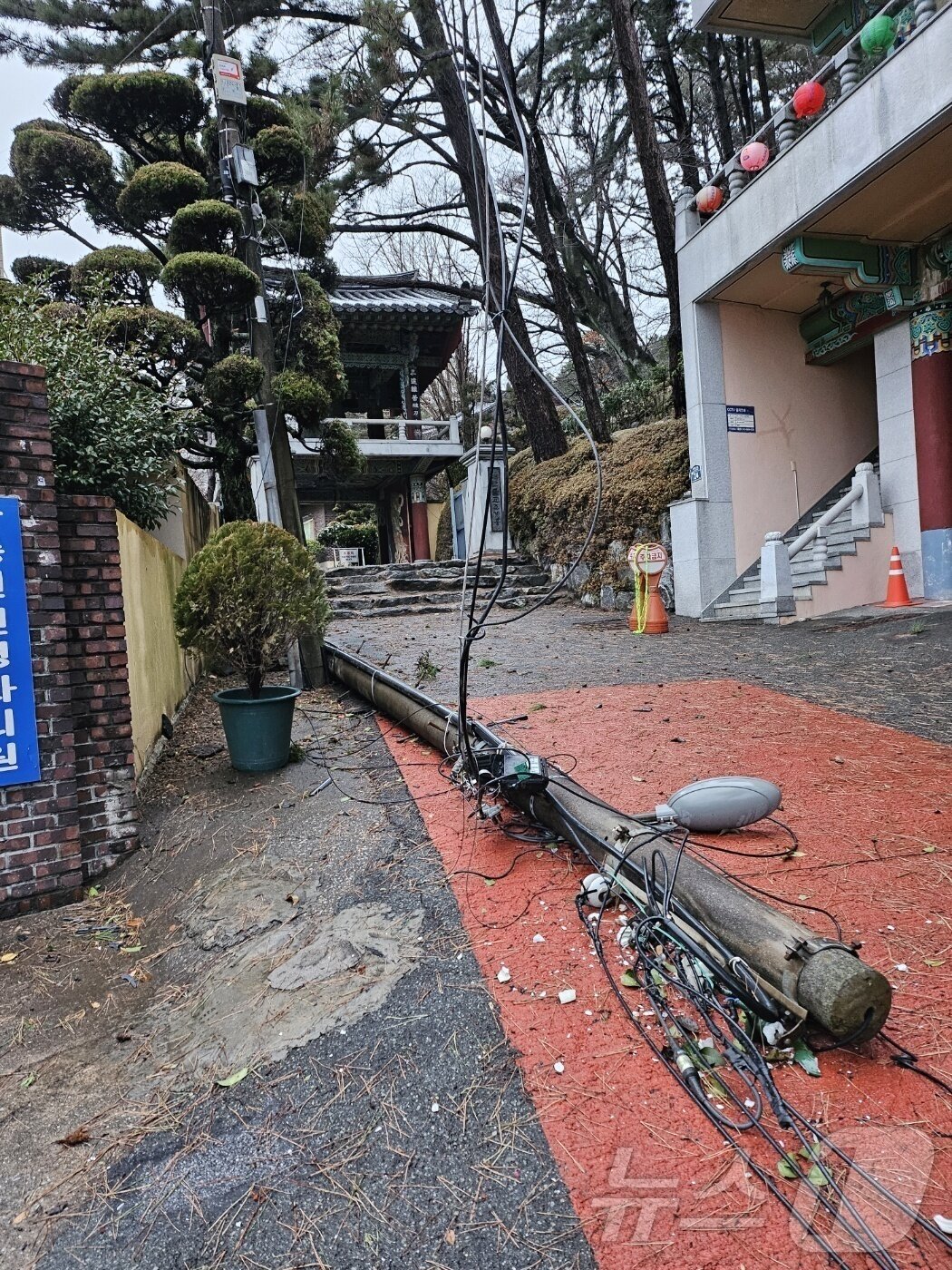 본문 이미지 - 3일 오전 부산 해운대구 재송동에서 한 전봇대가 쓰러져 있다.(부산소방재난본부 제공. 재판매 및 DB 금지)